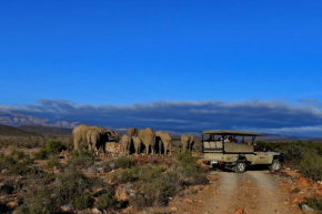 Sanbona Wildlife Reserve